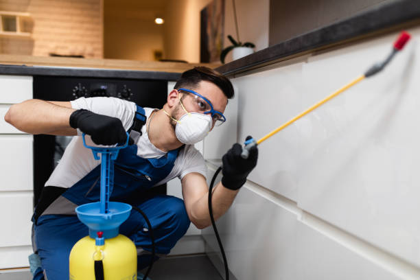 Best Wildlife Control Services  in Villa Rica, GA