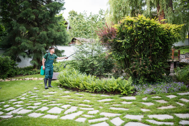 Best Local Pest Control Services  in Villa Rica, GA