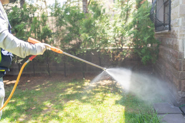 Best Residential Pest Control  in Villa Rica, GA