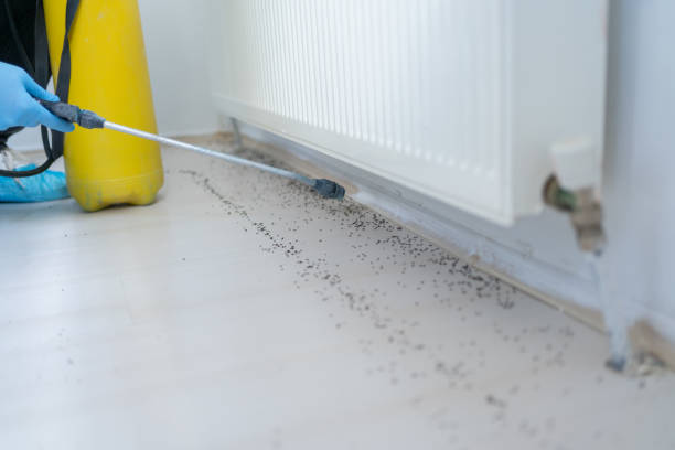 Best Exterminator Services  in Villa Rica, GA