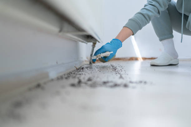 Best Best Pest Control Companies  in Villa Rica, GA