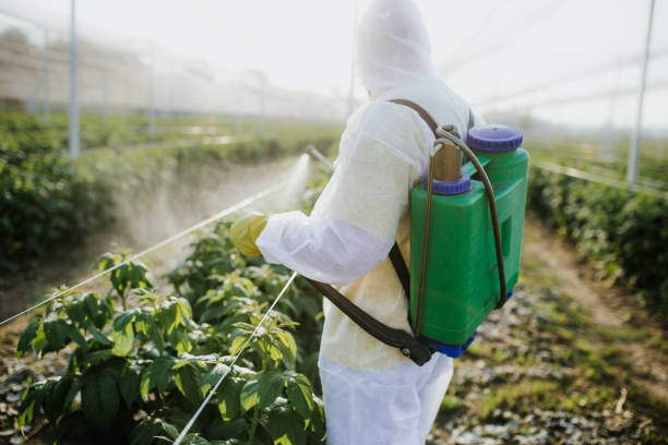 Trusted Villa Rica, GA Pest Control Experts